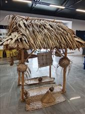 by kiwiaoraki, Views[70]