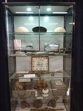 by kiwiaoraki, Views[69]