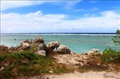 by kiwiaoraki, Views[108]