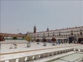 by kiwiaoraki, Views[209]