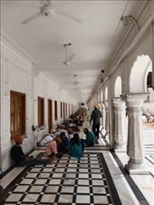 by kiwiaoraki, Views[173]