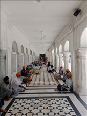 by kiwiaoraki, Views[81]