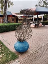 by kiwiaoraki, Views[46]