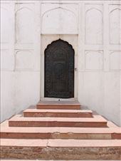 by kiwiaoraki, Views[99]