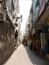 by kiwiaoraki, Views[60]