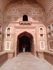 by kiwiaoraki, Views[77]