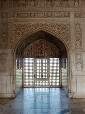 by kiwiaoraki, Views[65]