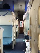 by kiwiaoraki, Views[167]