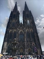 by kiwiaoraki, Views[170]