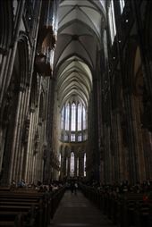 by kiwiaoraki, Views[114]