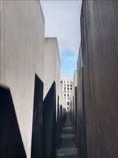 by kiwiaoraki, Views[36]