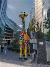 by kiwiaoraki, Views[62]