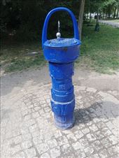 by kiwiaoraki, Views[63]