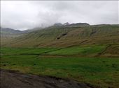 by kiwiaoraki, Views[67]