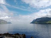 by kiwiaoraki, Views[41]