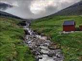 by kiwiaoraki, Views[79]