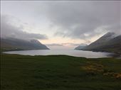by kiwiaoraki, Views[41]
