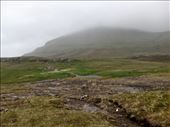 by kiwiaoraki, Views[55]