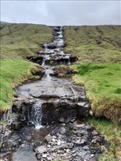 by kiwiaoraki, Views[36]