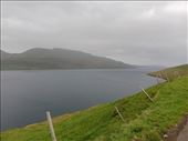 by kiwiaoraki, Views[74]