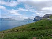 by kiwiaoraki, Views[79]