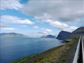 by kiwiaoraki, Views[58]
