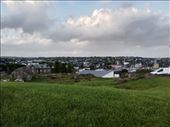 by kiwiaoraki, Views[71]