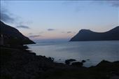 by kiwiaoraki, Views[110]