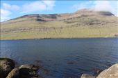 by kiwiaoraki, Views[89]
