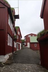 by kiwiaoraki, Views[49]