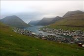 by kiwiaoraki, Views[58]