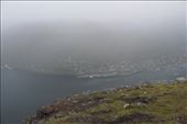 by kiwiaoraki, Views[64]