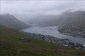 by kiwiaoraki, Views[66]