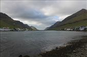 by kiwiaoraki, Views[58]