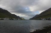 by kiwiaoraki, Views[52]