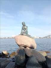 by kiwiaoraki, Views[35]