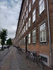 by kiwiaoraki, Views[45]