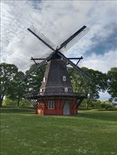 by kiwiaoraki, Views[51]