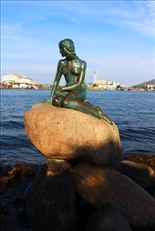 by kiwiaoraki, Views[178]