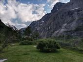by kiwiaoraki, Views[72]