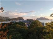 by kiwiaoraki, Views[75]