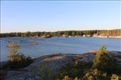 by kiwiaoraki, Views[78]