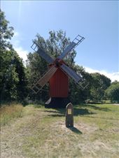 by kiwiaoraki, Views[63]