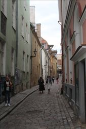 by kiwiaoraki, Views[143]