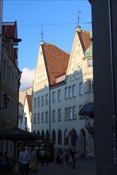 by kiwiaoraki, Views[60]