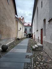 by kiwiaoraki, Views[40]