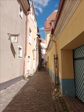 by kiwiaoraki, Views[45]