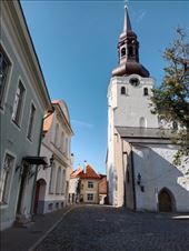 by kiwiaoraki, Views[40]