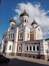 by kiwiaoraki, Views[52]