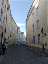 by kiwiaoraki, Views[40]